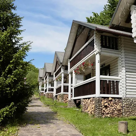 Forest Stream * Svalyava