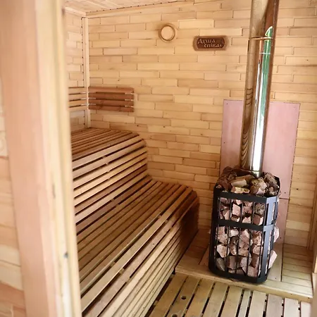 Forest Stream Svalyava