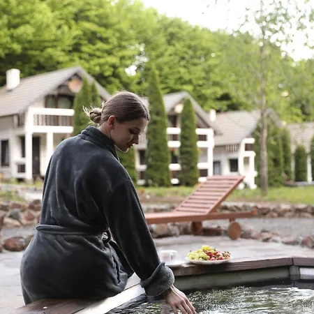 Forest Stream Svalyava