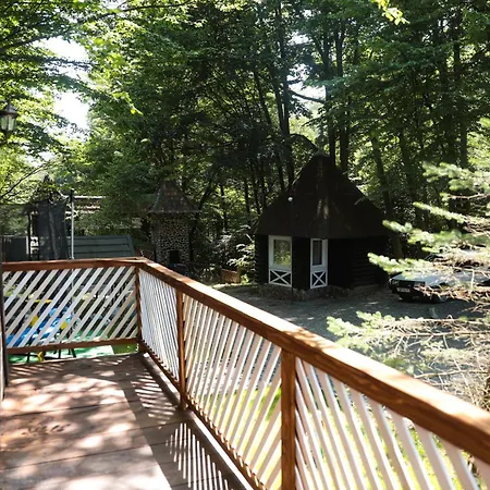 Forest Stream Feriepark Svaliava