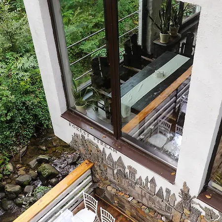 Forest Stream Svalyava