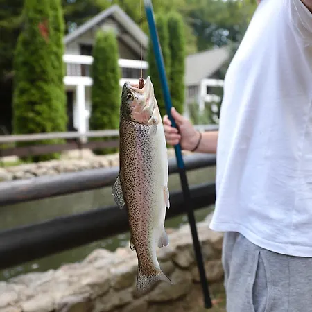 Forest Stream Holiday park *