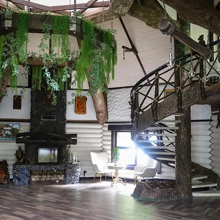 Forest Stream Svalyava