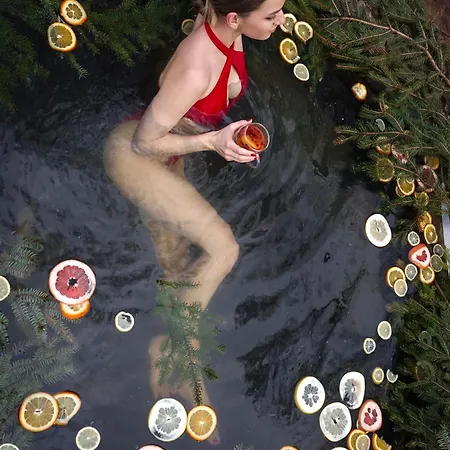 Forest Stream Holiday park Svalyava