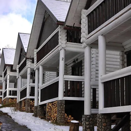 Forest Stream * Svalyava