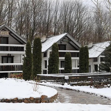 Forest Stream * Svalyava