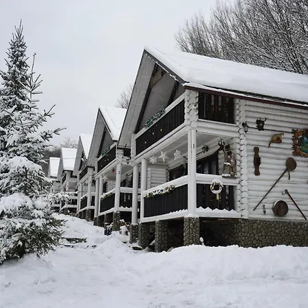 Forest Stream Svaljava