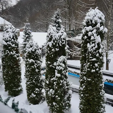 Forest Stream Semesterpark Svaljava