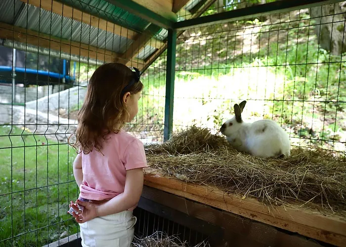 Forest Stream * Svaljava