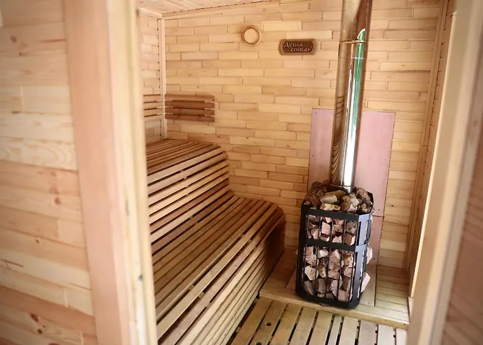 Forest Stream Svaljava