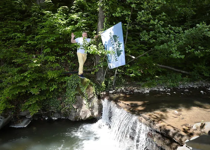 Forest Stream Semesterpark