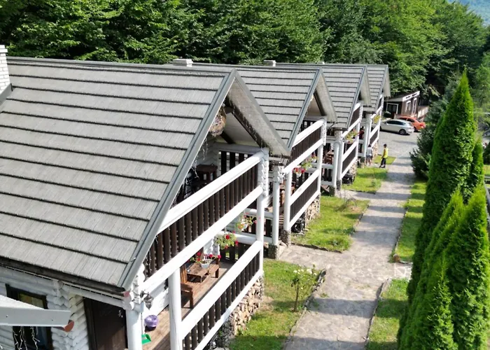 Forest Stream Semesterpark