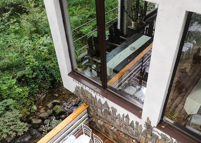 Forest Stream Svaljava