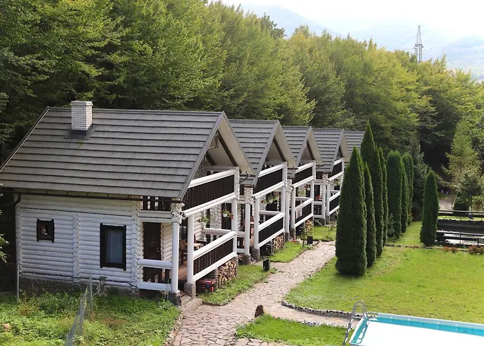 Semesterpark Forest Stream Svaljava