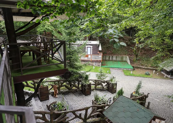 Forest Stream Semesterpark Svaljava