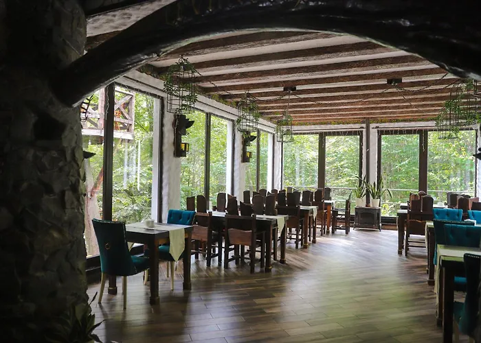 Forest Stream Semesterpark