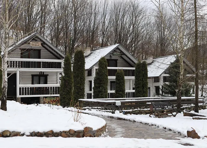 Forest Stream * Svaljava