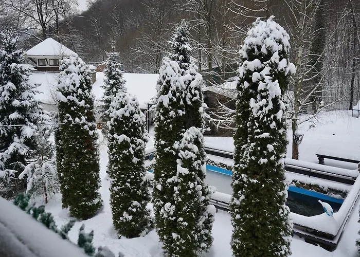 Forest Stream Semesterpark Svaljava