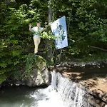 Forest Stream 假日公园