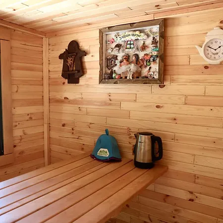 Forest Stream Svaliava