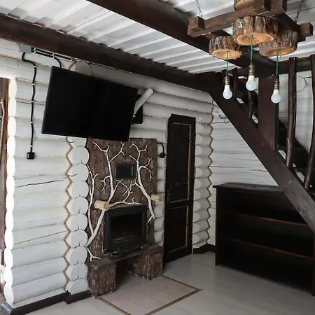 Forest Stream Svaliava